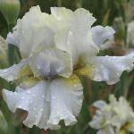 VELEGGIANDO NEL SUBCONSCIO